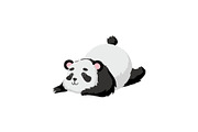 Cute Baby Panda Bear, Funny Lovely