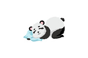 Cute Baby Panda Bear Sleeping on