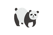 Cute Panda Bear Standing on Four