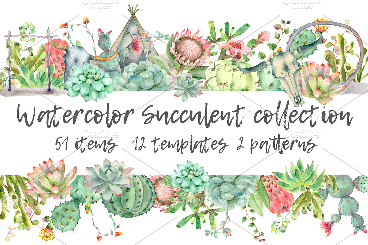 Succulent and Cactus collection in Illustrations - product preview 8
