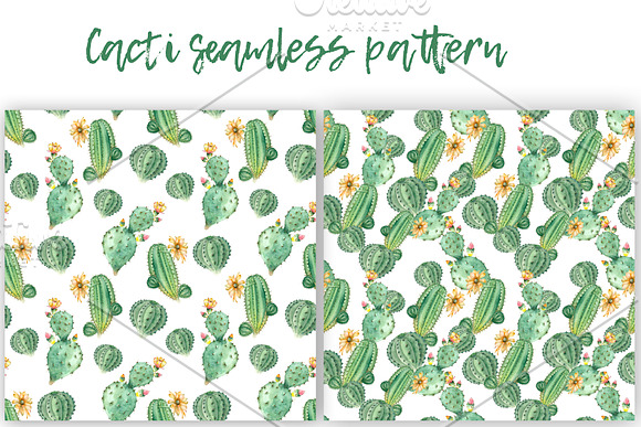 Succulent and Cactus collection in Illustrations - product preview 6