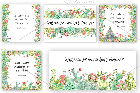 Succulent and Cactus collection in Illustrations - product preview 8