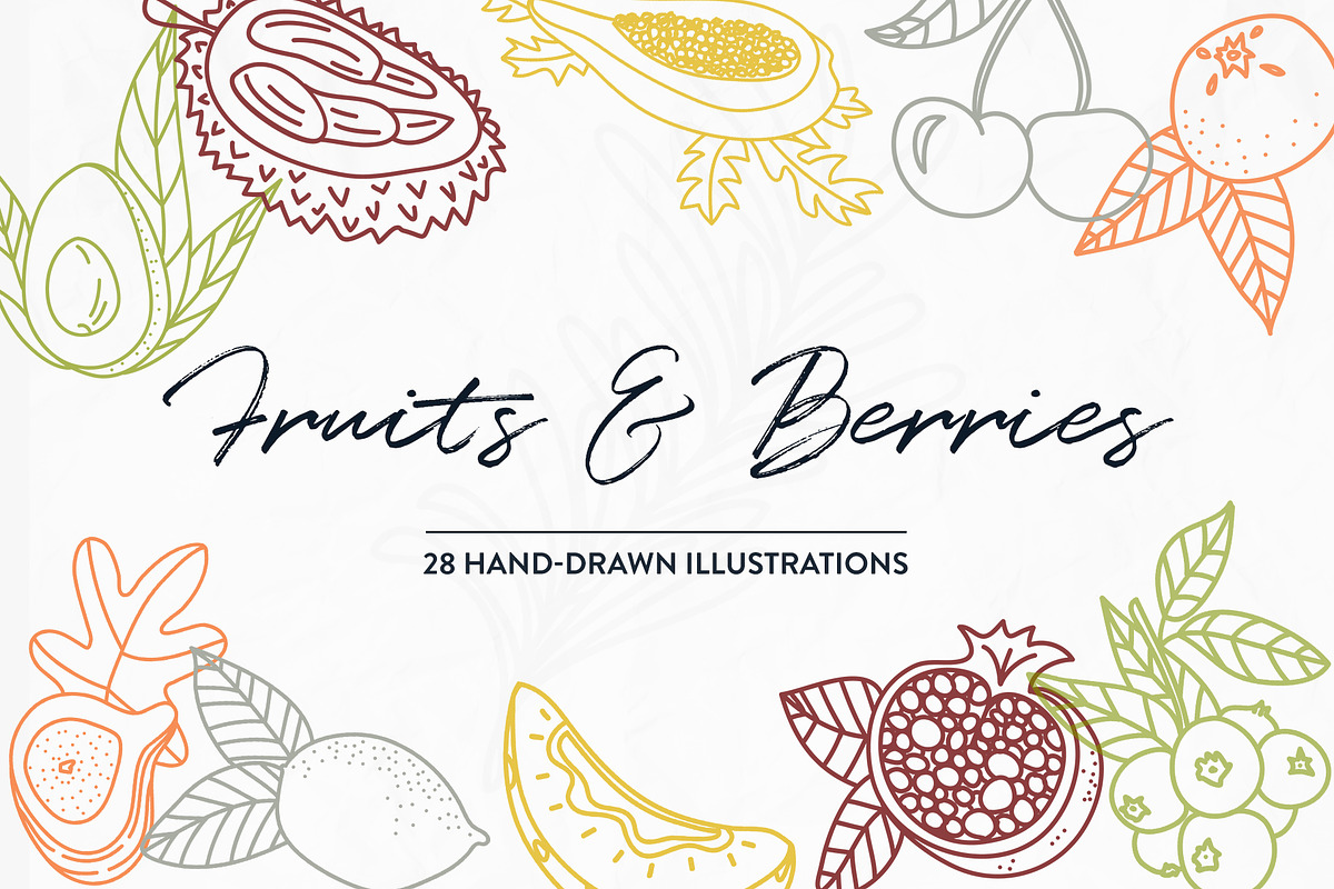 Fruits & Berries in Illustrations - product preview 8