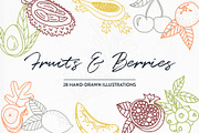 Fruits & Berries