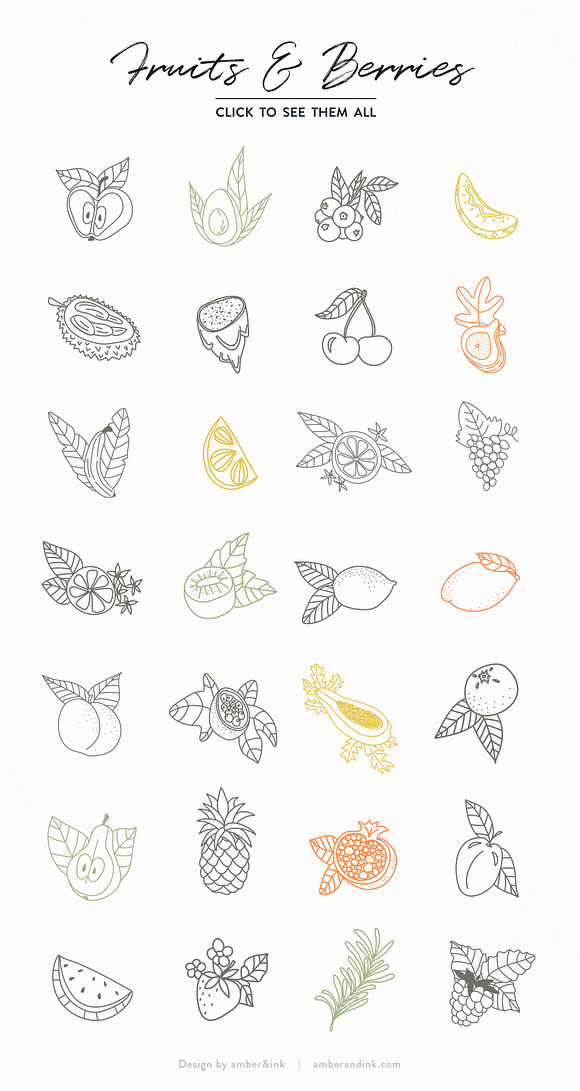 Fruits & Berries in Illustrations - product preview 1