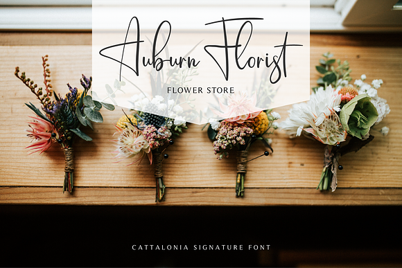 Cattalonia Signature Font in Signature Fonts - product preview 3