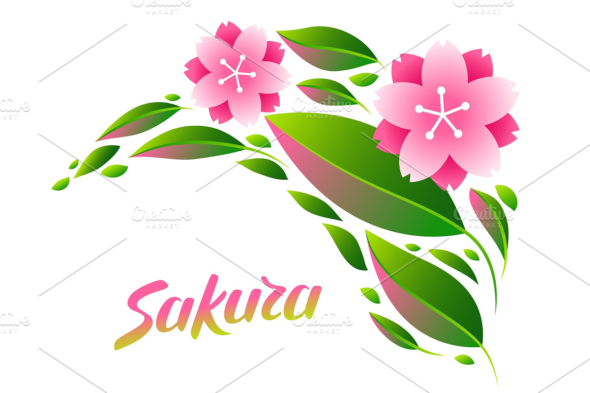 Background with sakura or cherry in Illustrations - product preview 8