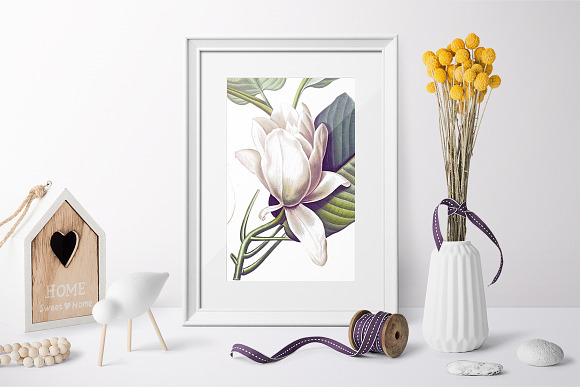White Magnolia Vintage Flowers in Illustrations - product preview 1