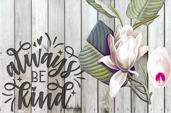 White Magnolia Vintage Flowers in Illustrations - product preview 3