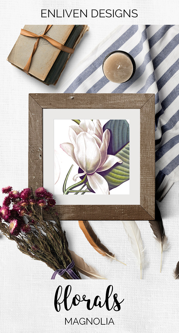 White Magnolia Vintage Flowers in Illustrations - product preview 7