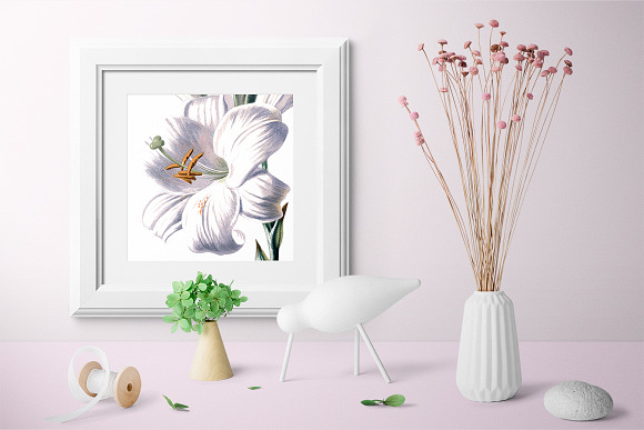 Lily White Flowers Lilies in Illustrations - product preview 3