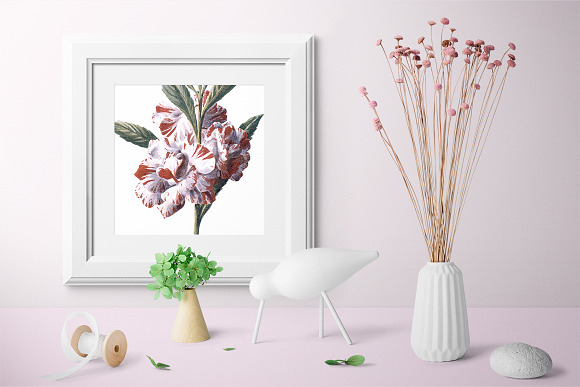 Balsam Vintage Flowers in Illustrations - product preview 1