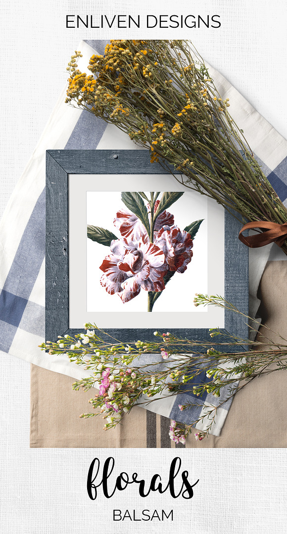 Balsam Vintage Flowers in Illustrations - product preview 7