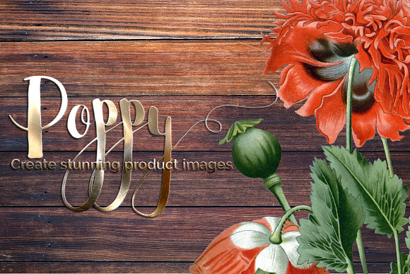 Opium Poppy Vintage Flowers in Illustrations - product preview 1