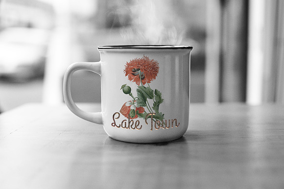 Opium Poppy Vintage Flowers in Illustrations - product preview 3