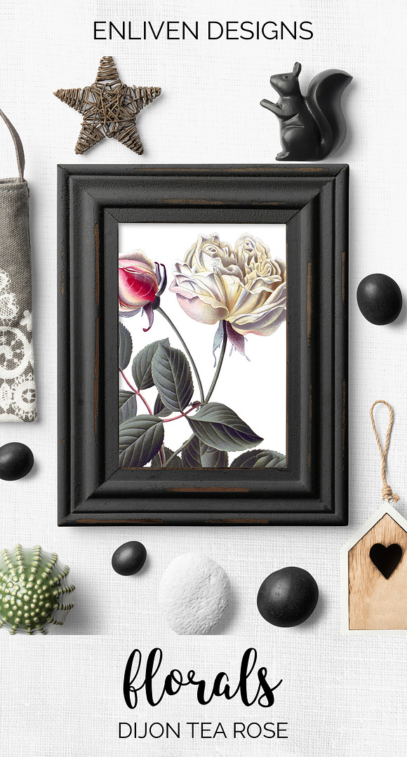 dijon tea rose Vintage Flowers in Illustrations - product preview 7
