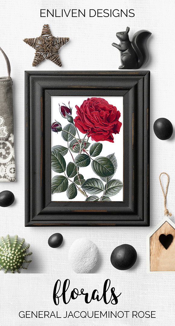 Roses Red Roses in Illustrations - product preview 7
