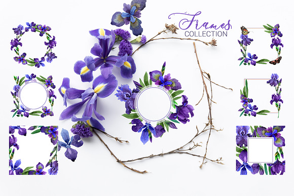 Irises  Gentle Watercolor png  in Illustrations - product preview 1