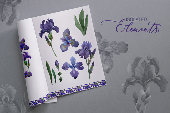Irises  Gentle Watercolor png  in Illustrations - product preview 5