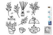 jasmine herb set