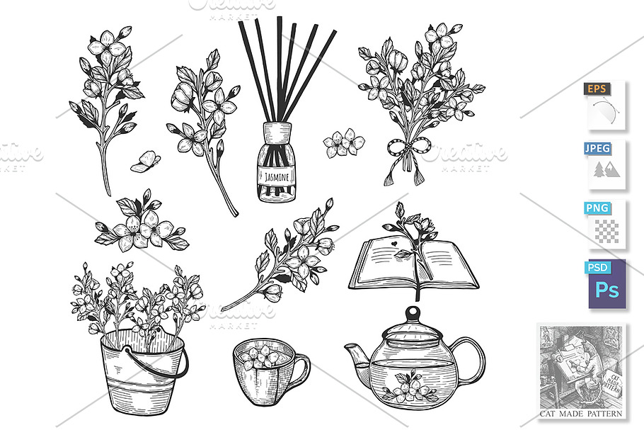 jasmine herb set in Illustrations - product preview 8