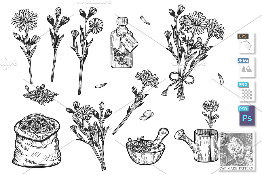 Calendula herb set
