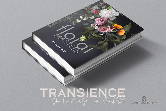 Transience - Hand-painted Gouache in Illustrations - product preview 10