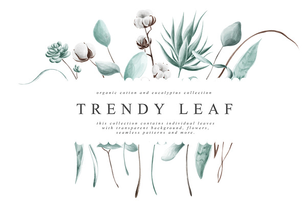 Trendy Leaf Collection