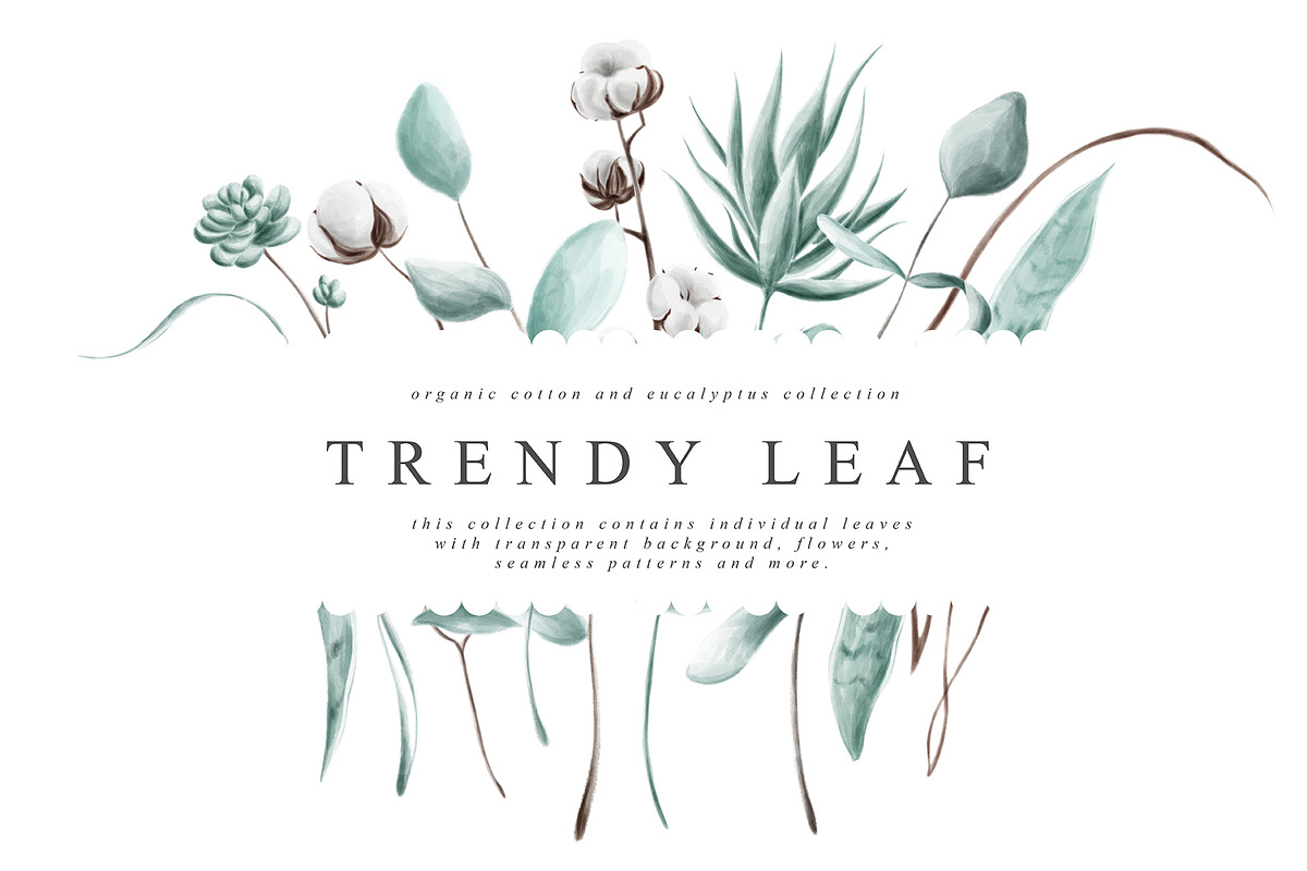 Trendy Leaf Collection in Illustrations - product preview 8
