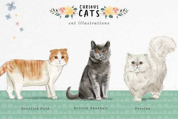 Curious Cats - Cat illustrations in Illustrations - product preview 3