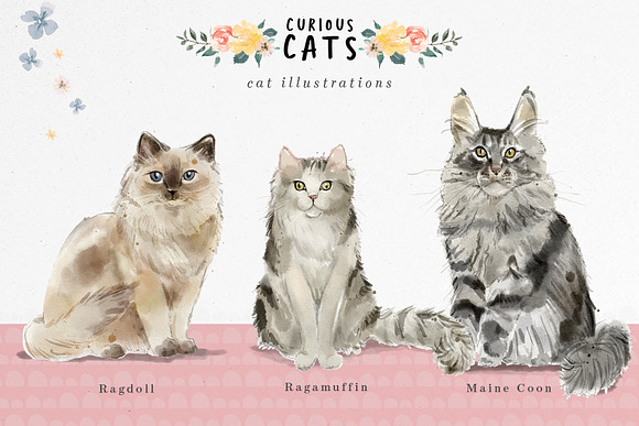 Curious Cats - Cat illustrations in Illustrations - product preview 4