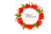 Flower background with red poppies