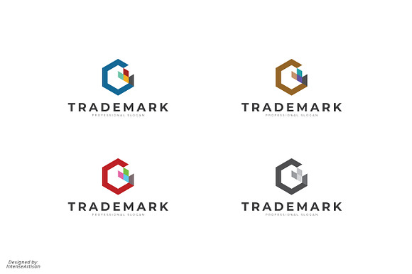 Investment Hexagon Logo in Logo Templates - product preview 1