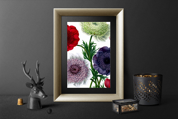 Anemone Flower in Illustrations - product preview 5