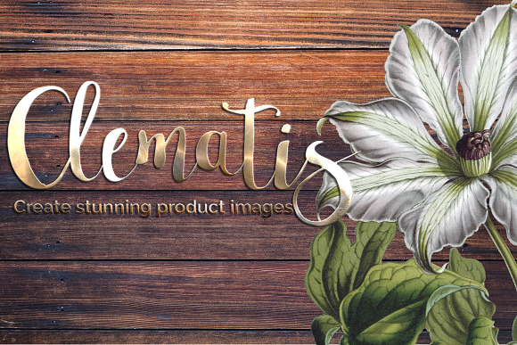 clematis miss bateman Vintage Flower in Illustrations - product preview 3