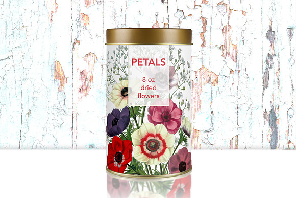 Anemone Flower in Illustrations - product preview 1