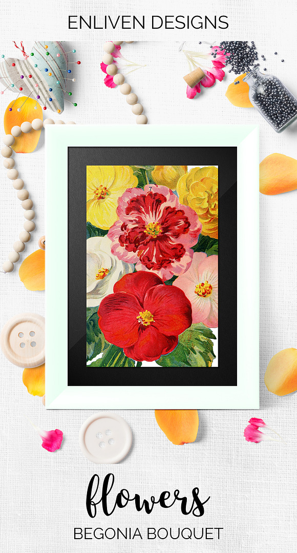 begonia bouquet Vintage Flowers in Illustrations - product preview 6