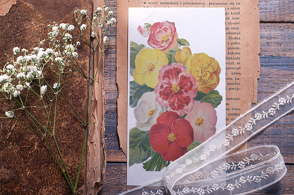 begonia bouquet Vintage Flowers in Illustrations - product preview 7