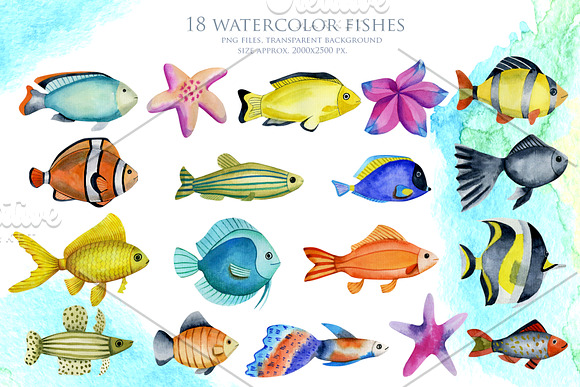 Sea life. Watercolor clip art. in Illustrations - product preview 1