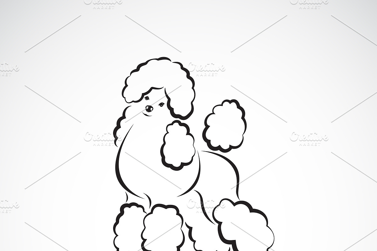 Vector of poodle dog design. Pet. in Icons - product preview 8