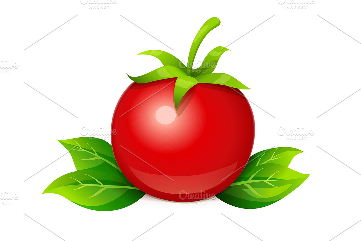 Tomato. Ripe vegetable with leaf. in Illustrations - product preview 8