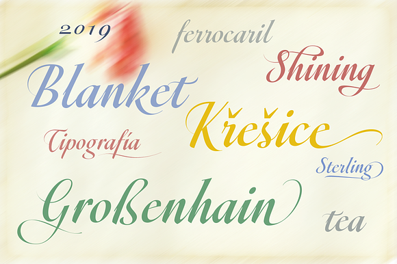 Sgraffio in Script Fonts - product preview 7