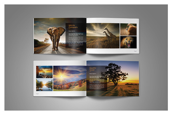 Minimal Photography Portfolio in Brochure Templates - product preview 9