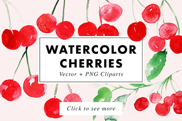 Watercolor Cherries Vector & PNG