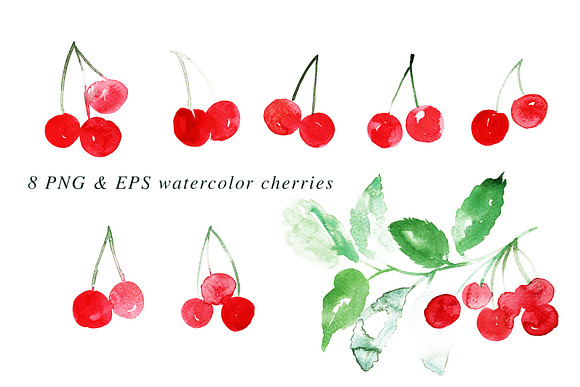 Watercolor Cherries Vector & PNG in Illustrations - product preview 1