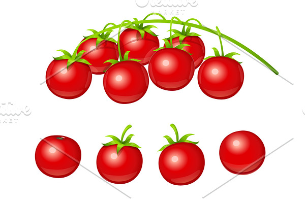 Tomato cherry. Set of fresh. Vector.