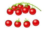 Tomato cherry. Set of fresh. Vector.