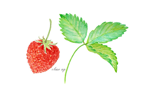Watercolor Clipart Strawberry in Illustrations - product preview 1