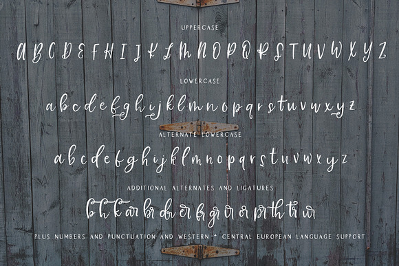 Farmhouse Country Rustic Font Duo in Script Fonts - product preview 8