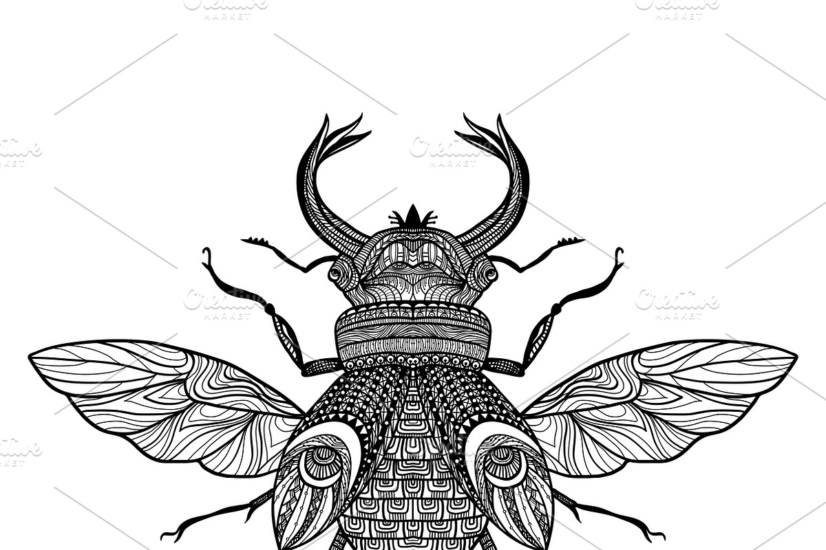 Sketch decorative bug in Illustrations - product preview 8